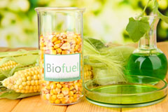 Camerton biofuel availability